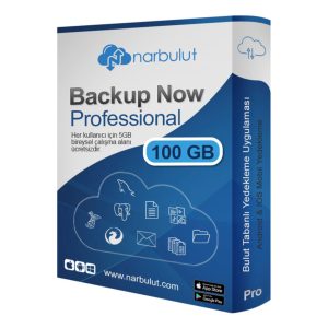Narbulut Backup Now Professional Edition 100GB Lisans 1yıl